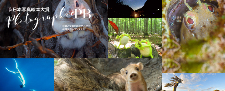 Japan Photographic Picture Book Grand Award